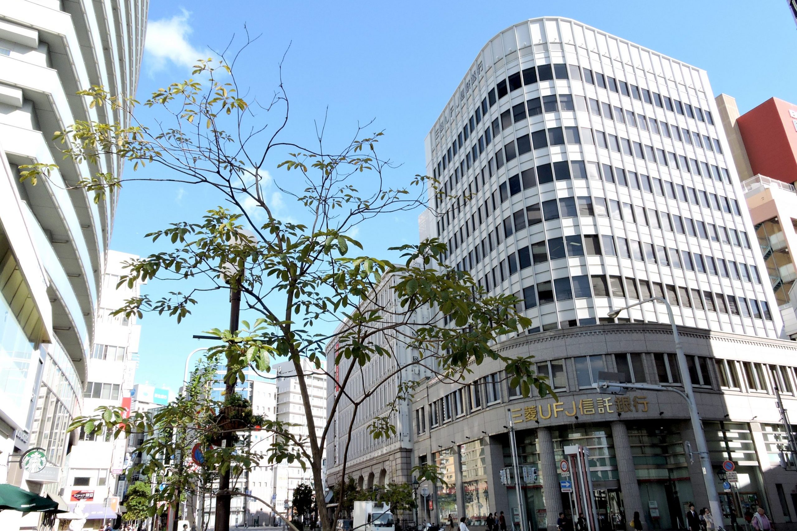 Campus Lexis Japan School Steetscape Side View Trees 1 Scaled